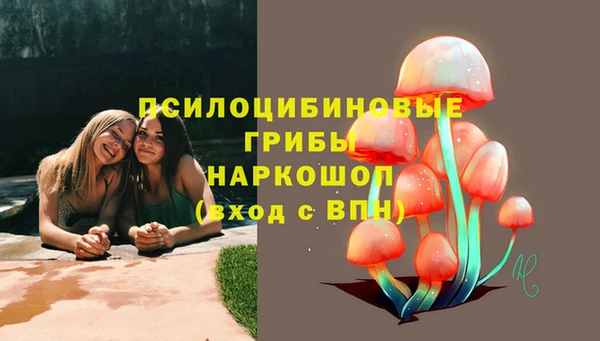 дмт Михайлов