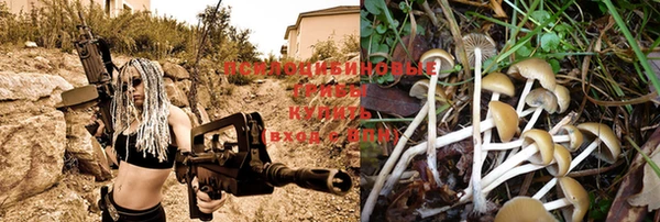 дмт Михайлов