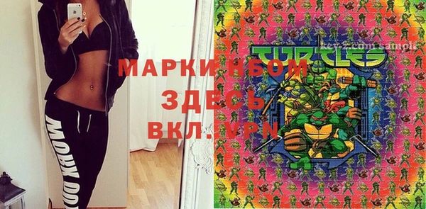 твердый Михайловск
